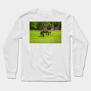 Wild Horses at Cumberland Island National Seashore Long Sleeve T-Shirt